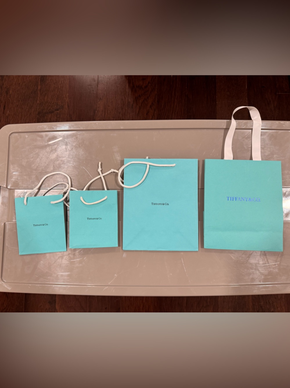 Set of 4 Tiffany & Co. Robin's Egg Blue Shopping Bags - Multiple Sizes